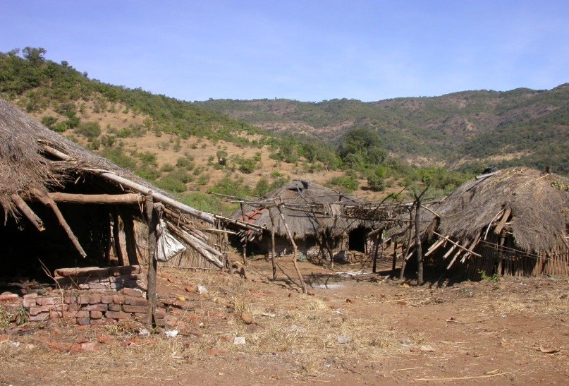 Tribal Development Image 1